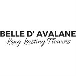 Belle d' Avalane, Kontich openingstijden
