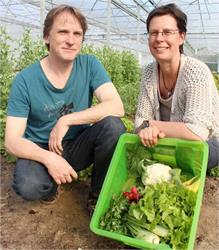 Tine's Groentemandjes - Kleibeek, Sint-Pauwels openingstijden