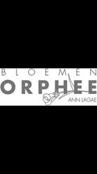 Bloemen Orphee, Hulste openingstijden