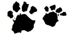 Dap Healthy Paws, De Pinte openingstijden