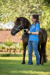 Dierenarts Ilse Rombaut, Wetteren openingstijden