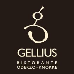 Gellius, Knokke openingstijden