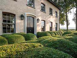 The Little Monastery, Damme openingstijden