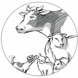 Dierenartsenpraktijk A&M / Cabinet vétérinaire A&M, Geraardsbergen openingstijden