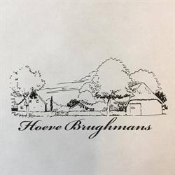 Hoeve Brughmans BV, Kalmthout openingstijden