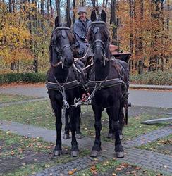 HORSEVENTURES, Erps-Kwerps openingstijden