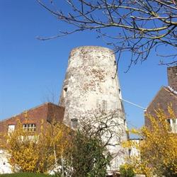 Flietermolen, Tollembeek openingstijden