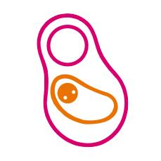 Geboren in Gent, openingstijden