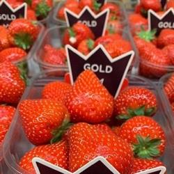Fresh 2 Go, Overijse openingstijden