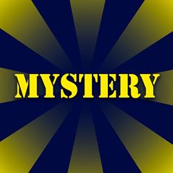 Mystery Party, Beringen openingstijden