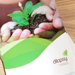 Dilopsy, Oostende openingstijden