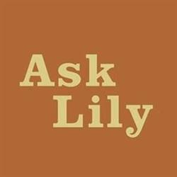 Ask Lily, Westmeerbeek openingstijden