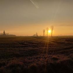 Maretak, Meetkerke openingstijden