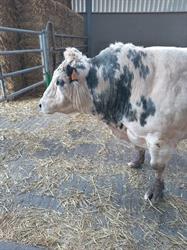 Ferme du Mouligneau, Forges openingstijden