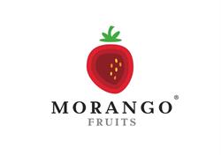 Morango Fruits Bvba, Laakdal openingstijden