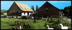 Plukboerderij Schelle, openingstijden