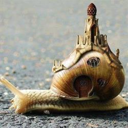l' Escargot, Minicamping Deluxe & Glamping, Theux openingstijden