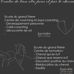 Les écuries du grand Pierre, Binche openingstijden