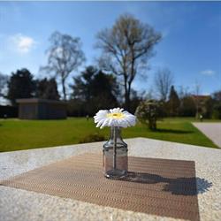 Le Jardin de Waterloo, openingstijden