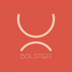 Bolster - Coaching, Lebbeke openingstijden