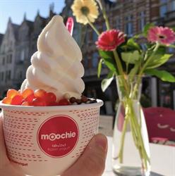 Moochie Frozen Yogurt Leuven, openingstijden