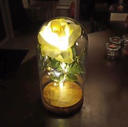La Rosa Bianca, Stokkem openingstijden