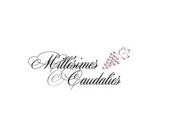 Millésimes et Caudalies, Edingen openingstijden