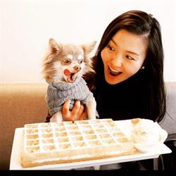 Lizzies Wafels, Brugge openingstijden