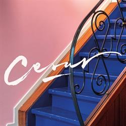 Cesar, Antwerpen openingstijden