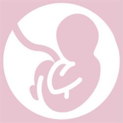 3D-baby-echo, Eernegem openingstijden