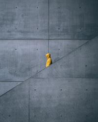 ABM ARCHITECTES, Chièvres openingstijden