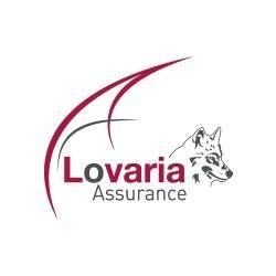Lovaria Assurance, La Louvière openingstijden