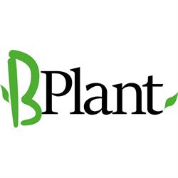B-Plant, Koningshooikt openingstijden