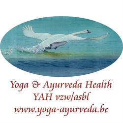 Yoga & Ayurveda Health, Schepdaal openingstijden