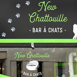 Le New Chattouille asbl, Sint-Gillis openingstijden