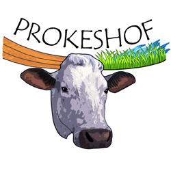 Prokeshof, Ransberg openingstijden
