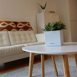 Vakantie appartement te Oostende in Residentie Melbourne, openingstijden