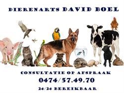 Dierenartspraktijk David Boel, Zele openingstijden