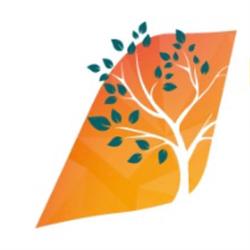 Orthopedie Leuven, openingstijden
