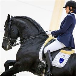 Royal Horses, Overijse openingstijden