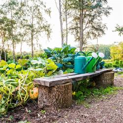 Hoeve Heierveld, Asse openingstijden
