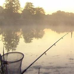 Etangs de Cendron, Forge-Philippe openingstijden