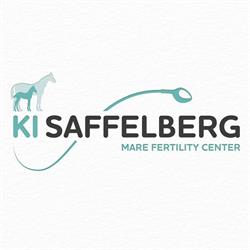 KI Saffelberg, Gooik openingstijden