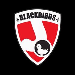 Hockey Club Blackbirds, Massenhoven openingstijden