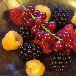 SlowBerry, Lier openingstijden