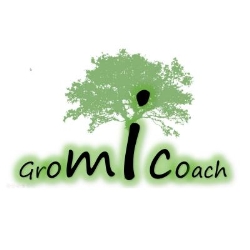 Gromicoach, Kortrijk openingstijden
