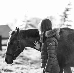 estelle beeckmans photographie, Kasteelbrakel openingstijden