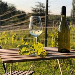 Domaine du Krayenberg, Beersel openingstijden