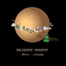 BLOOM MOON, Watermaal-Bosvoorde openingstijden