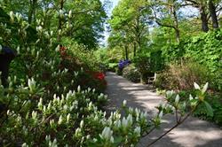 Domaine Provincial de Chevetogne, openingstijden